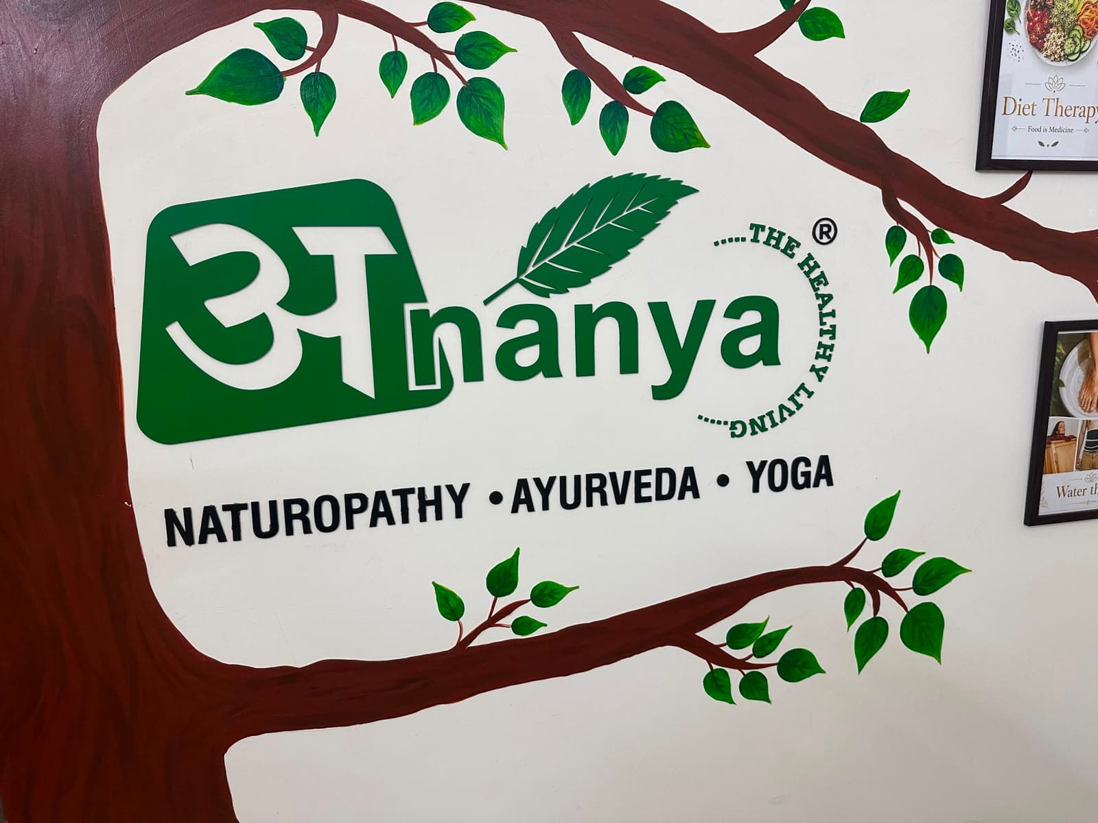 The Ananya Naturopathy logo on the clinic's tree wall